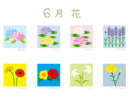 6月の花 あじさい,スイレン,ラベンダー,ガーベラ,ハイビスカス,ユリ,カーネーション,父の日,6月,花のイラスト素材