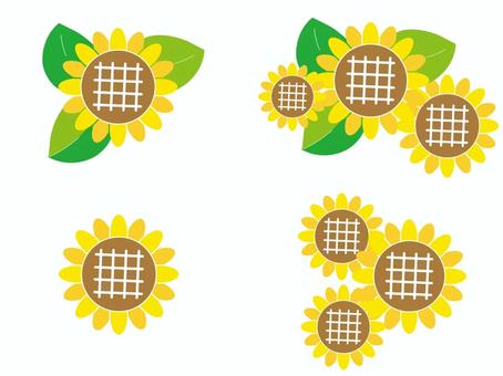 Illustration, sunflower, set, midsummer, 