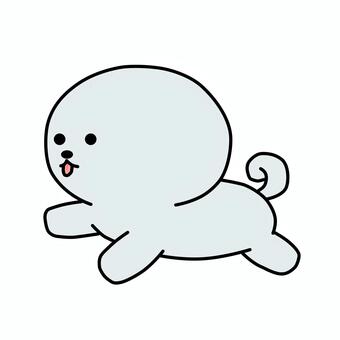 ビション・フリーゼ② 犬,ドッグ,ビション,ビションフリーゼ,動物,生き物,かわいい,シンプル,ゆるい,アイコンのイラスト素材