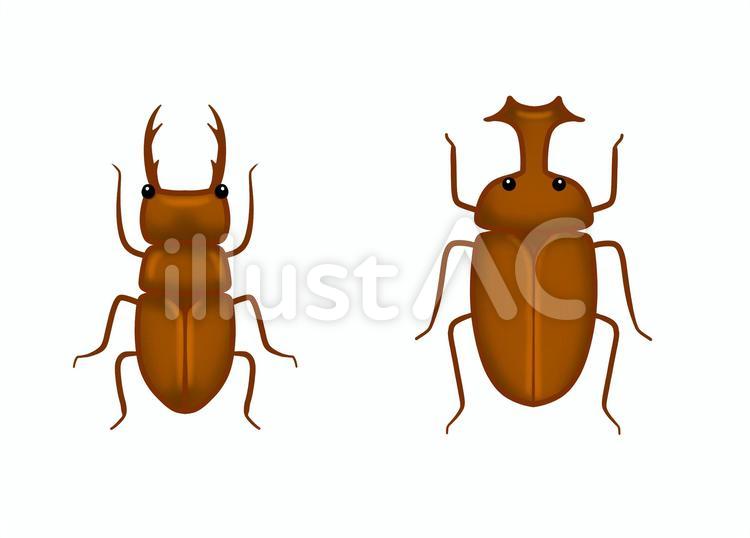 クワガタとカブトムシの全身イラスト 昆虫,クワガタ,カブトムシのイラスト素材
