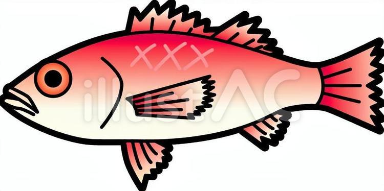 ノドグロイラスト - No: 1191402／無料イラストなら「イラストAC」