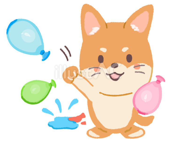 水風船を投げて遊ぶ柴犬 水風船,柴犬,投げるのイラスト素材