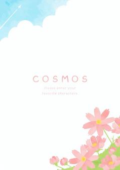穏やかなコスモスの花畑と青空の風景素材 コスモス,植物,秋,花,背景,青空,かわいい,淡い,ピンク,ほのぼののイラスト素材