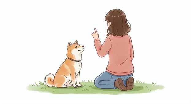 柴犬に芸を教える女性 柴犬,芸,躾,調教,おすわり,犬,指差し,女性,野原のイラスト素材