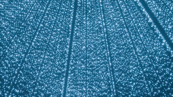 無数の光の粒が並ぶイルミネーション背景 イルミネーション,背景,光,粒,ラメ,キラキラ,カーテン,壁紙,輝き,幻想的のイラスト素材