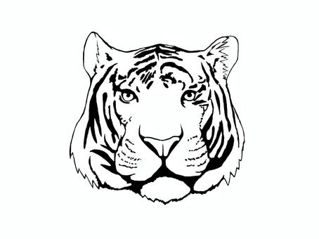 トラの顔 線画 トラの顔 線画 トラ,虎,線画のイラスト素材