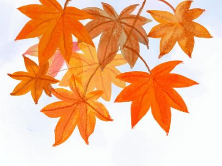 紅葉
