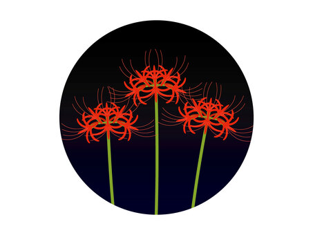 夜の彼岸花 彼岸花,曼殊沙華,花,植物,ベクター,赤,三本,茎,夜,シンプルのイラスト素材