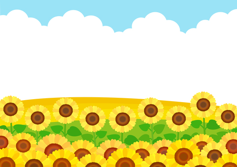 ひまわり畑の夏の風景 ひまわり畑の夏の風景 ひまわり,ひまわり畑,夏,背景,空,フレーム,向日葵,ヒマワリ,ひまわりの花,枠のイラスト素材