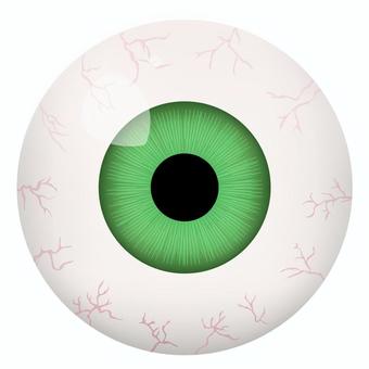 緑色の虹彩の眼球イラスト 緑色の虹彩の眼球イラスト 眼球,目玉,虹彩,瞳,ハロウィン,緑,グリーン,色,カラー,恐いのイラスト素材