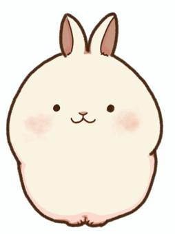 ゆるいうさぎ正面 うさぎ,動物,小動物,ペット,かわいい,ゆるいのイラスト素材