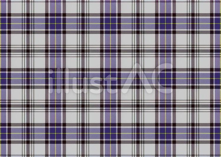 HANNAY scottish,clan,tartanのイラスト素材