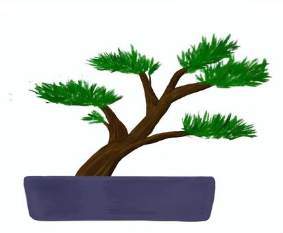 盆栽（松） 盆栽,松,枝,葉っぱ,植物,植木鉢,とげとげのイラスト素材