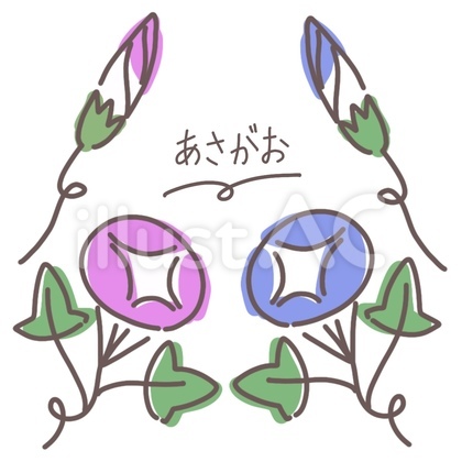 あさがおセット