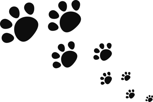 Animal footprints, JPG, PNG and AI Animal footprints, footprints, animal, simple substance, JPG, PNG and AI