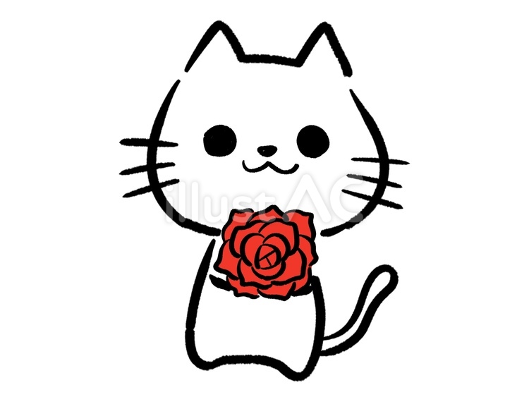 薔薇　猫 猫,白猫,薔薇のイラスト素材