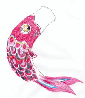 Carp streamer, , JPG