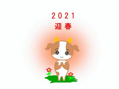 「無病息災、病気平癒を願う牛」2021 年賀状,丑,2021年,正月,新春,初日の出,元日,初参りのイラスト素材