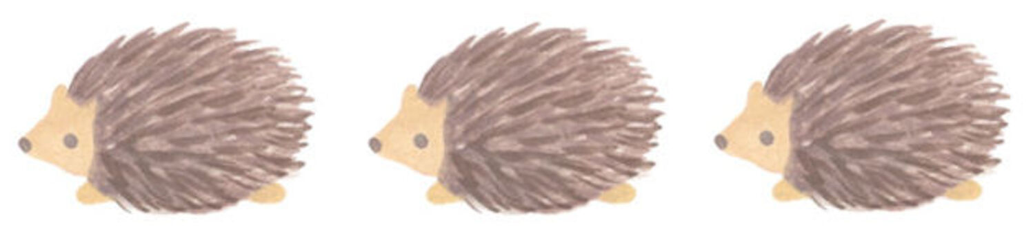 Hedgehog, , JPG and PNG