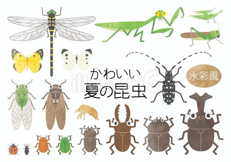 水彩風-かわいい夏の昆虫セット 夏休み,夏,昆虫のイラスト素材