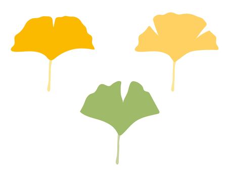 Illustration, ginkgo biloba, leaf, autumn leaves, 