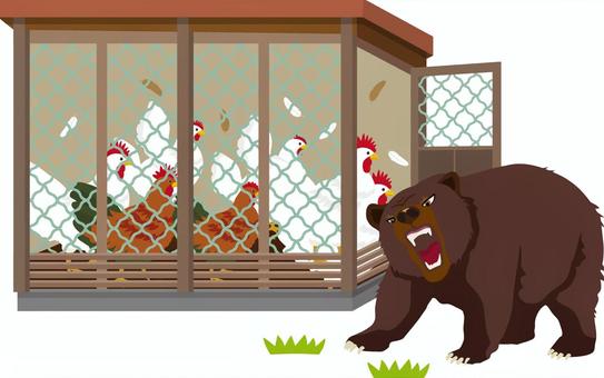 熊に襲われるニワトリ小屋 アーバンベア,熊,ツキノワグマ,ヒグマ,ニワトリ,鶏,チャボ,襲う,襲われる,小屋のイラスト素材