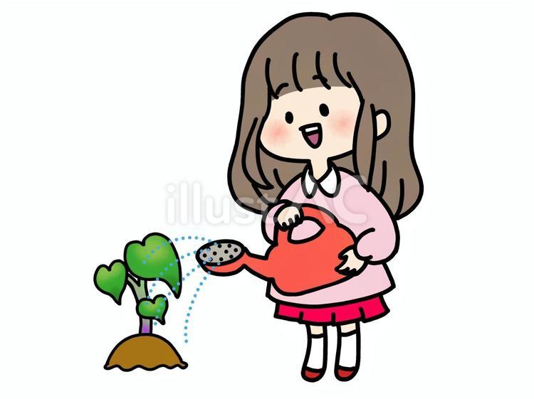 サツマイモの苗に水やりをする女の子　赤 女の子,水やり,ジョウロのイラスト素材