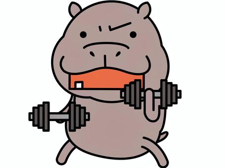 河馬啞鈴, JPG, PNG 和 EPS 河馬啞鈴, , JPG, PNG 和 EPS