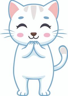 お願い事をする白猫 猫,保護猫,野良猫,お願い,ペット,動物,生き物のイラスト素材