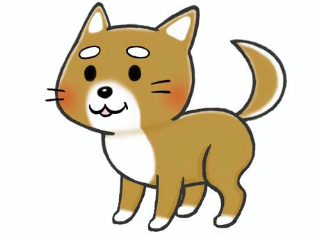 Illustration, bean bush, shiba inu, dog, 