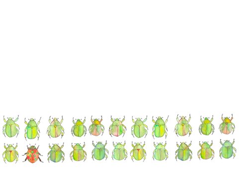 Illustration, cute, creatures, postcard, 