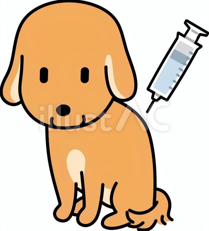 注射をする犬 犬,動物,ペットのイラスト素材