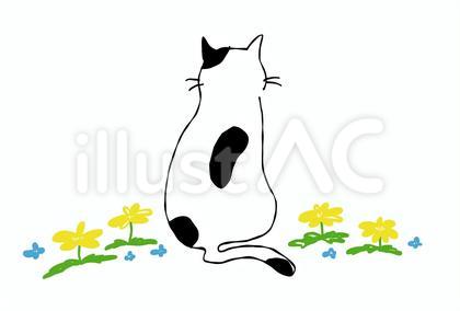 猫 日向ぼっこ