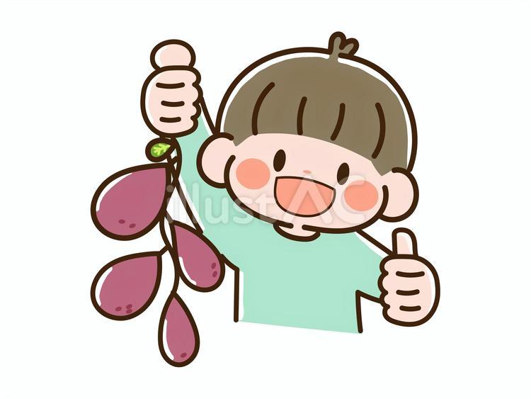 収穫したさつまいもを持つ男の子 さつまいも,収穫,男の子のイラスト素材