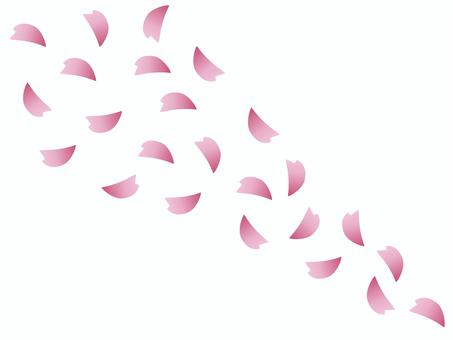 Illustration of cherry blossom petals, , JPG, PNG and AI