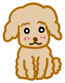 トイプードル トイプードル,トイプー,子犬,可愛い,お座り,犬,室内犬,茶色のイラスト素材