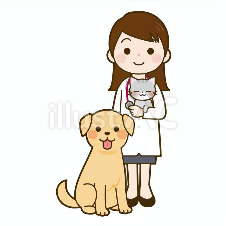 獣医と犬と猫 獣医,女性,人物のイラスト素材