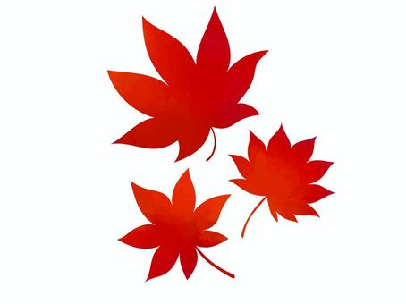 水彩素材_紅葉_紅葉04