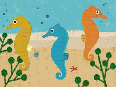 Illustration, seahorse, sea, creatures, 