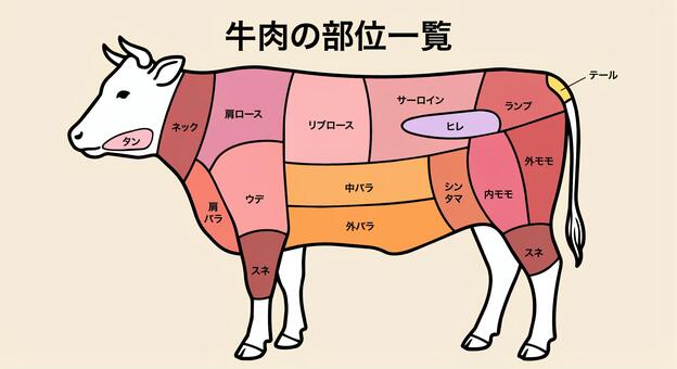 牛肉の部位一覧　カラーイラスト 牛肉,部位,部位図,牛,うし,ビーフ,部位一覧,肉,精肉,焼肉のイラスト素材
