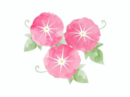 朝顔のイラスト（水彩風） 朝顔,水彩風,アサガオ,明るい,紫みの,赤色,花,葉,つる,綺麗のイラスト素材
