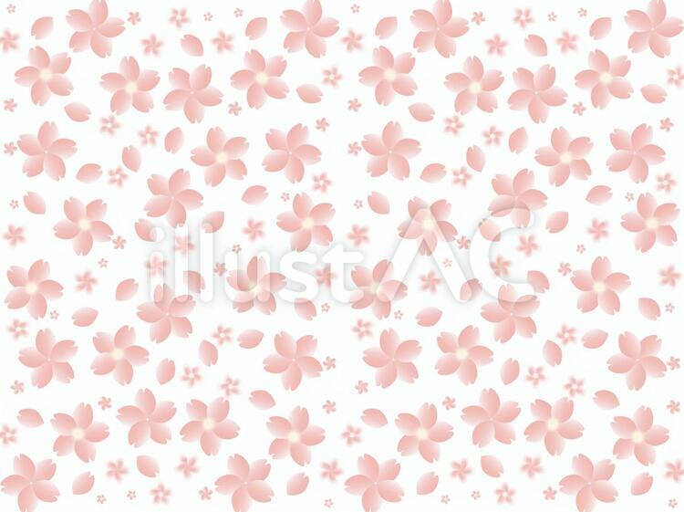 桜 春色,カワイイ,桜の花のイラスト素材