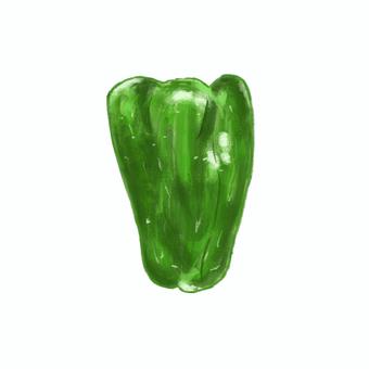 リアルでおしゃれなピーマンアイコン ピーマン,野菜,食べ物,食材,夏,写実的,リアル,シンプル,アイコン,イラストのイラスト素材