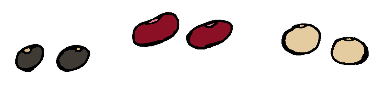 Illustration, काले सेम, लाल राजमा, सोयाबीन, 