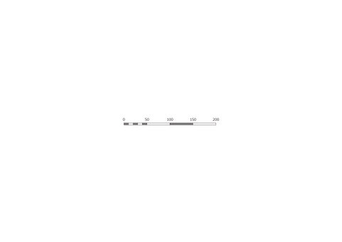 Illustration, length, scale, size, 