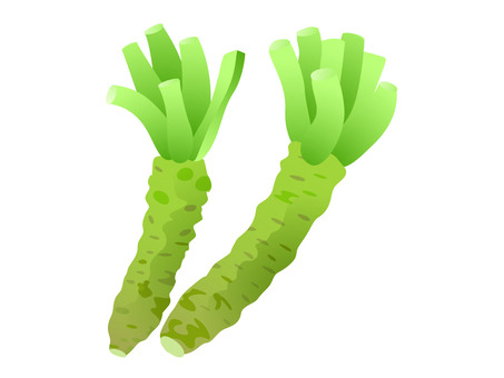 Wasabi, wasabi, condiment, vegetables, JPG, PNG and AI