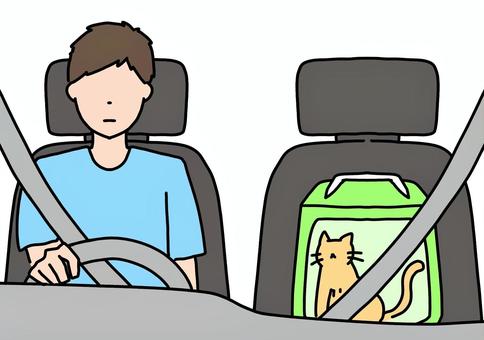 Man and cat in passenger seat, color, JPG and PNG Man and cat in passenger seat, color, male, a pet, operation, JPG and PNG