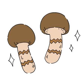 松茸 松茸,キノコ,赤松,高級,秋のイラスト素材