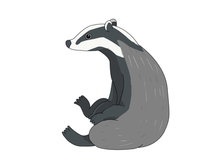 ヨーロッパアナグマ（座る） ヨーロッパアナグマ,アナグマ,動物,ヨーロッパ,座るのイラスト素材