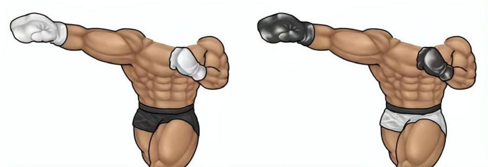 格闘家の胴体 格闘家,格闘技,ボクシング,kー1,体,胴体,パンチ,ストレート,殴る,筋肉のイラスト素材